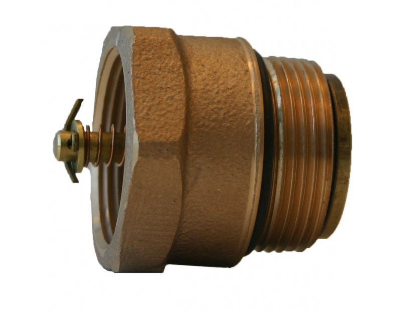 Inlet Check Valves